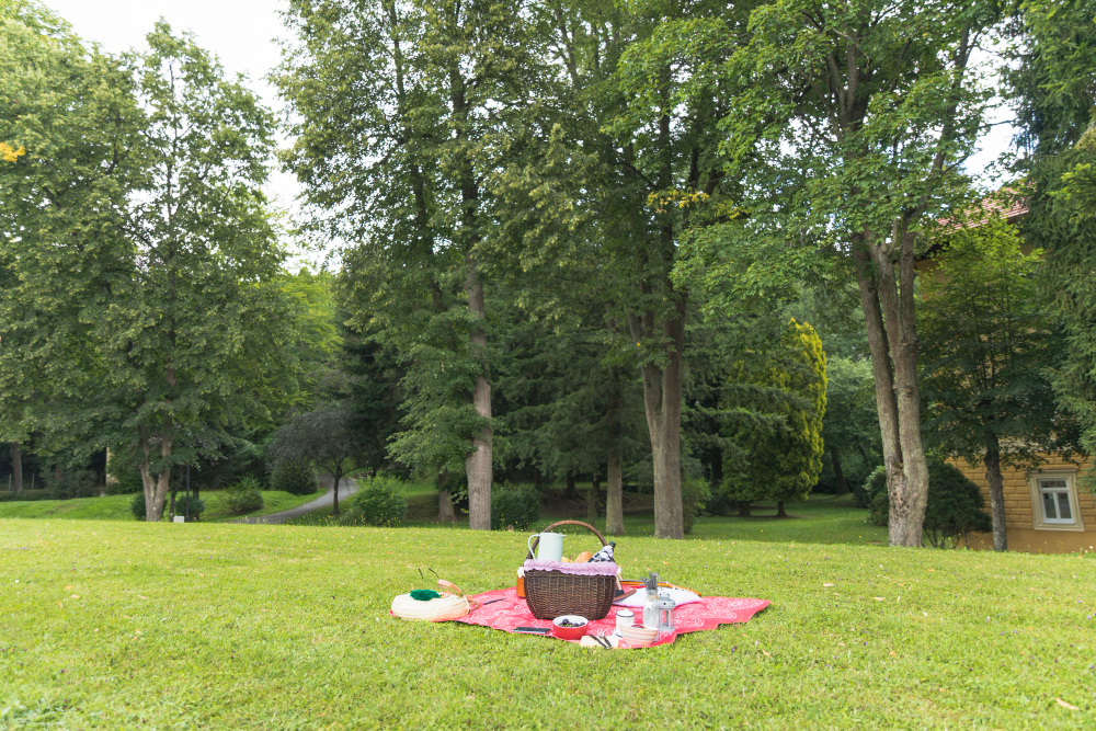 Having A Picnic in Beverly Hills