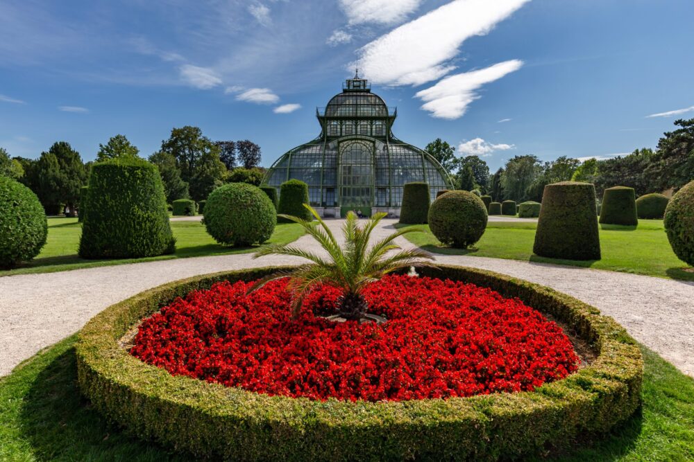 beautiful botanical garden schonbrunn palace vienna austria scaled e1678999824533