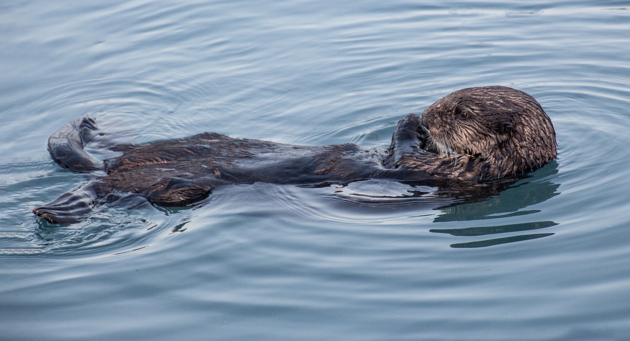 6. Kenai Fjords National Park