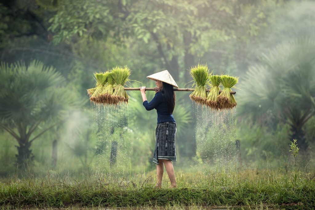 Amazing Places to Visit in Myanmar