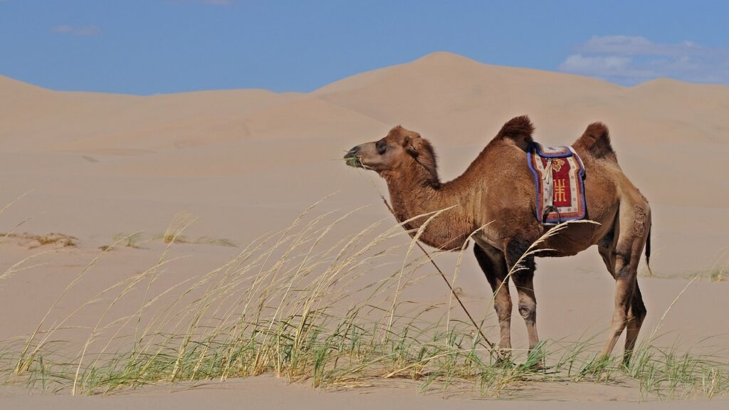 most beautiful places in Mongolia