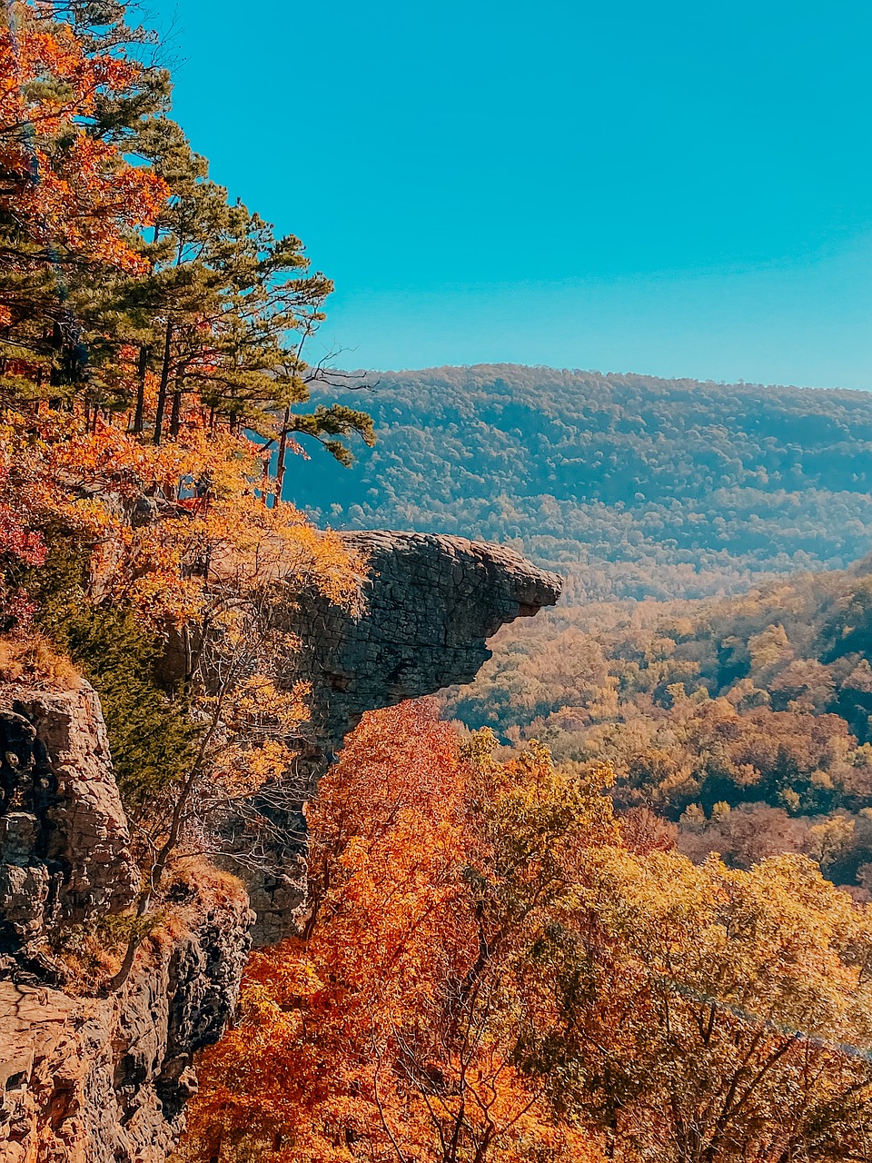 whitaker point 6803955 1280