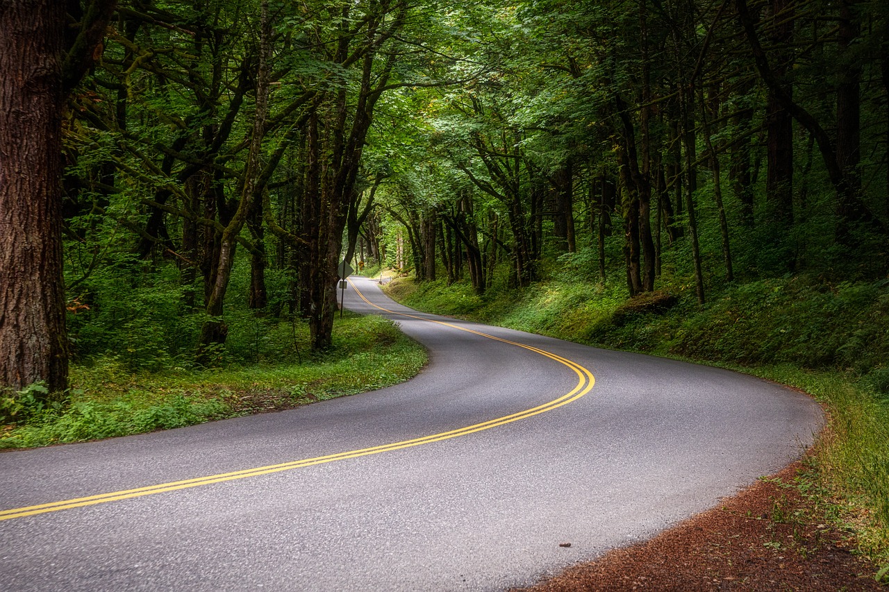 Pacific Northwest Road Trip: Unveiling the Natural Wonders - Tourist Zaad