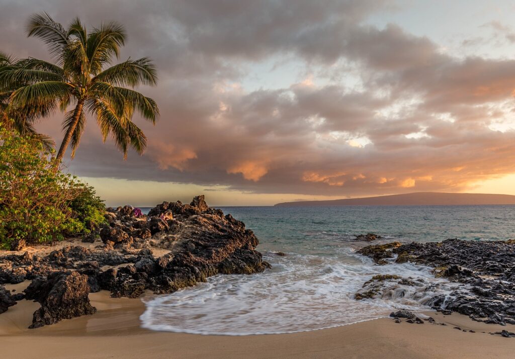 a beach with palm trees and rocks