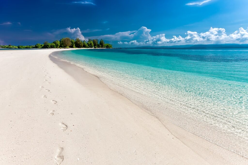 a sandy beach with trees and blue water