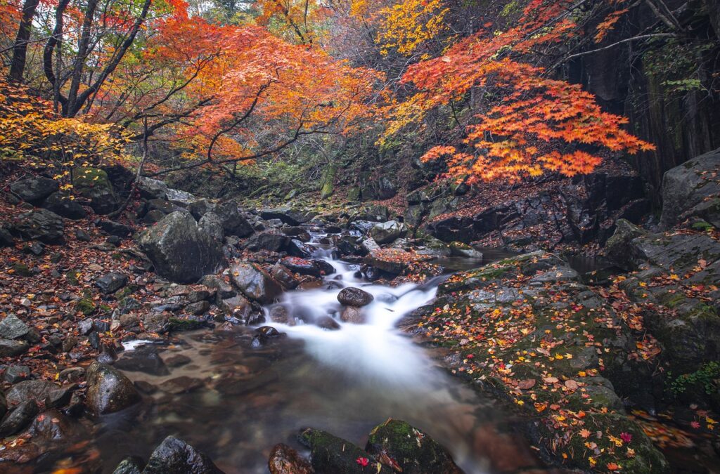 Gorman Falls